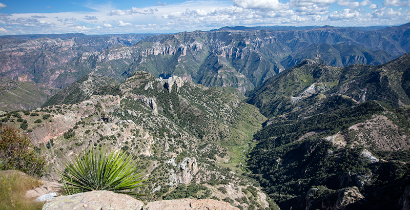 Sierra Tarahumara